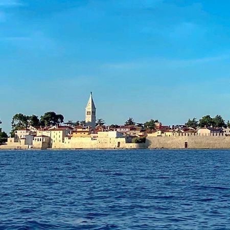 The Green House - 20M From The Beach Novigrad Istria المظهر الخارجي الصورة
