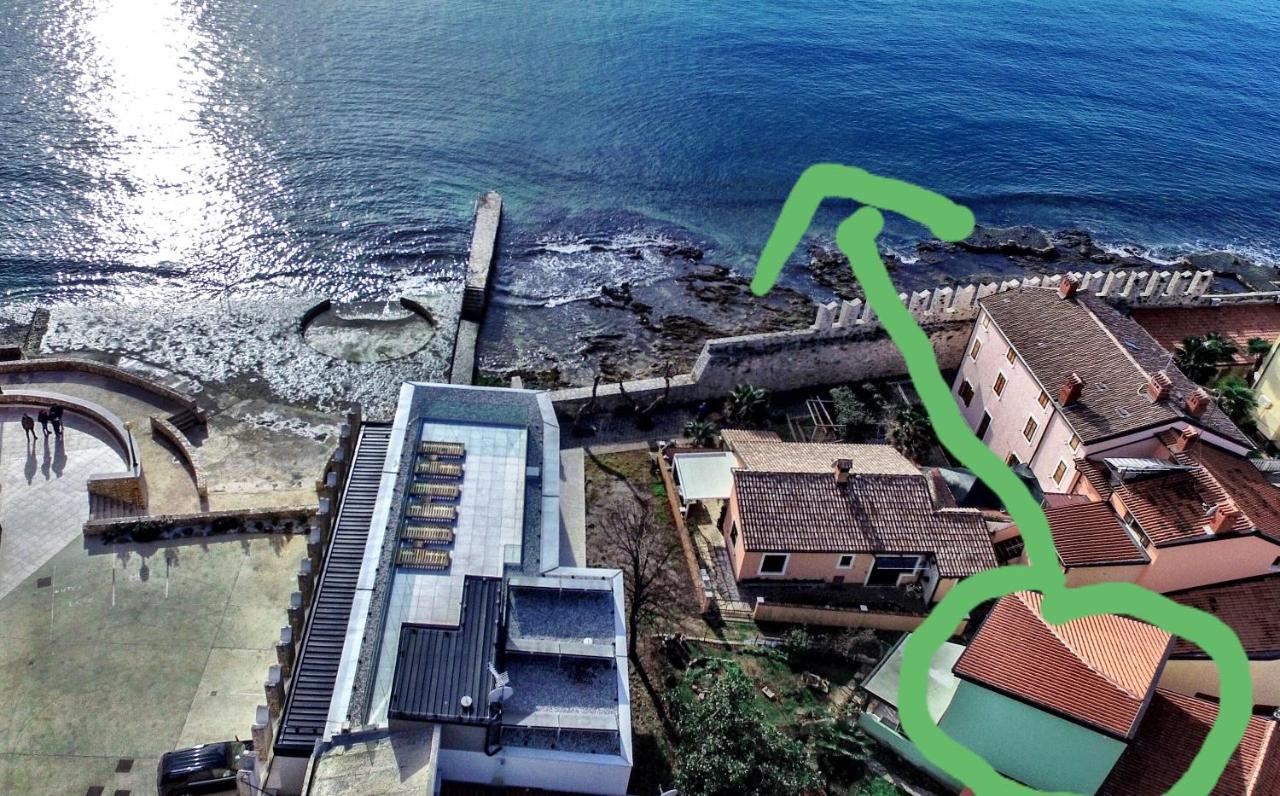 The Green House - 20M From The Beach Novigrad Istria المظهر الخارجي الصورة
