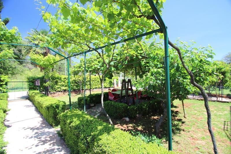 The Green House - 20M From The Beach Novigrad Istria الغرفة الصورة
